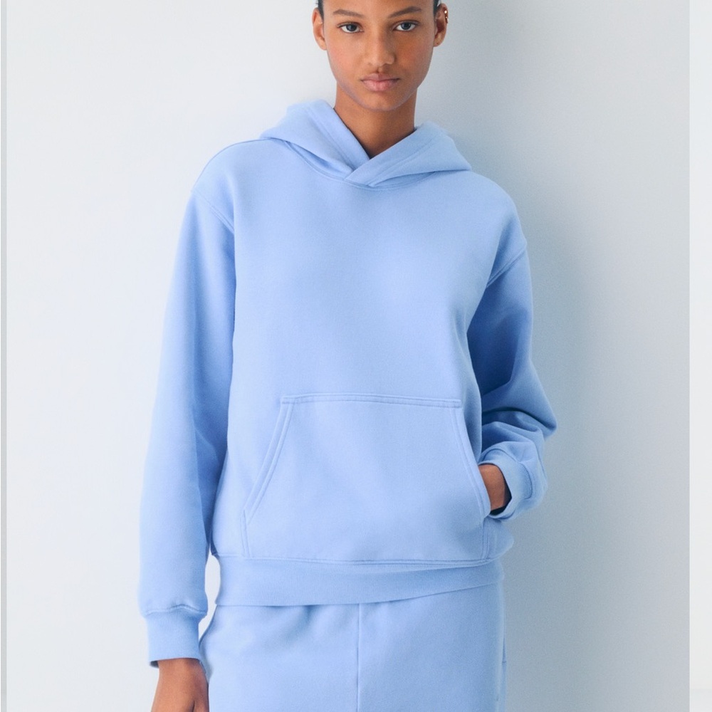 Aritzia Cozy Sweatfleece Perfect Hoodie